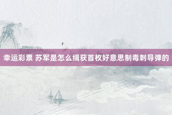 幸运彩票 苏军是怎么缉获首枚好意思制毒刺导弹的